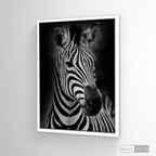 Cuadro Animales Cebra B/N