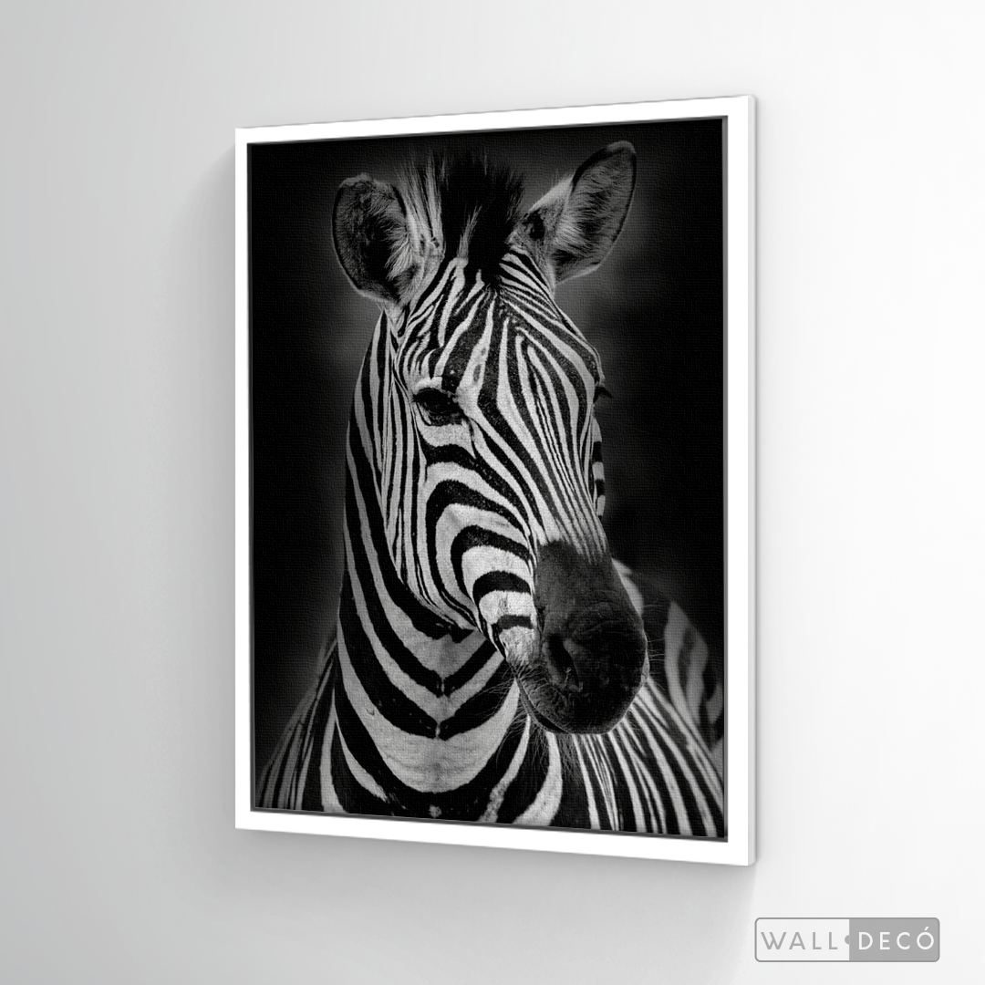 Cuadro Animales Cebra B/N