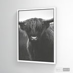 Cuadro Animales Bisonte