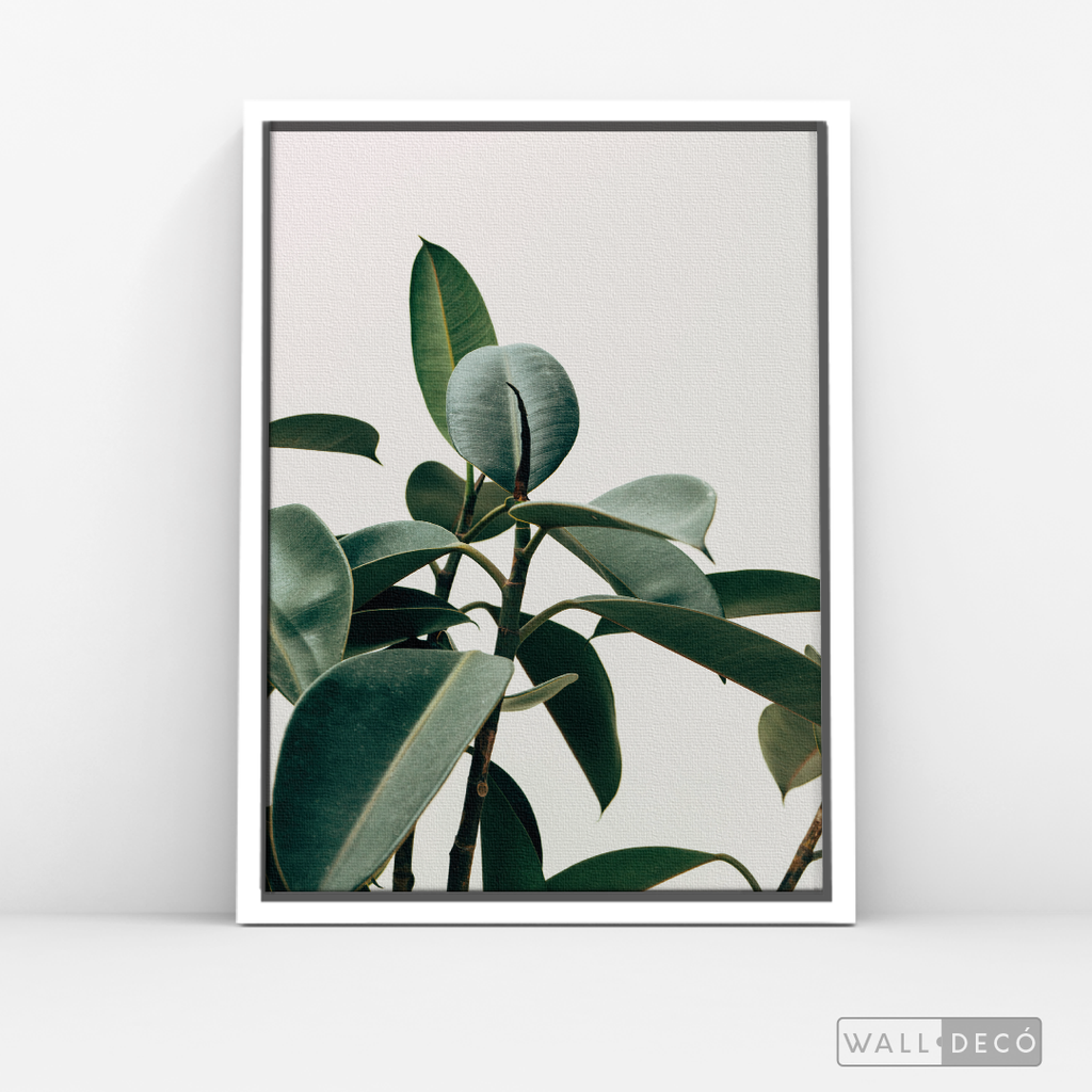 Cuadro Botánico CHEFLERA - WalldecóStore