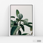 Cuadro Botánico CHEFLERA - WalldecóStore