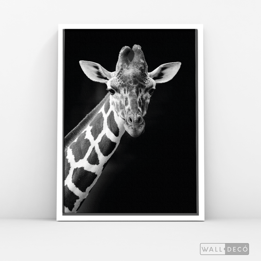 Cuadro Animales Jirafa B/N