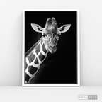 Cuadro Animales Jirafa B/N