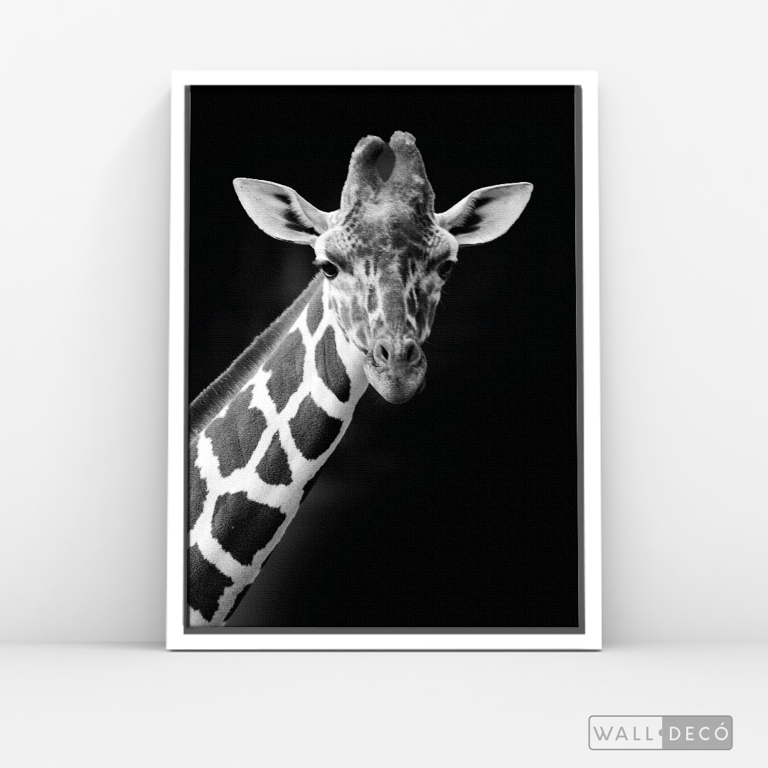 Cuadro Animales Jirafa B/N