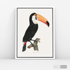 Cuadro Aves Tucan Colombiano 3