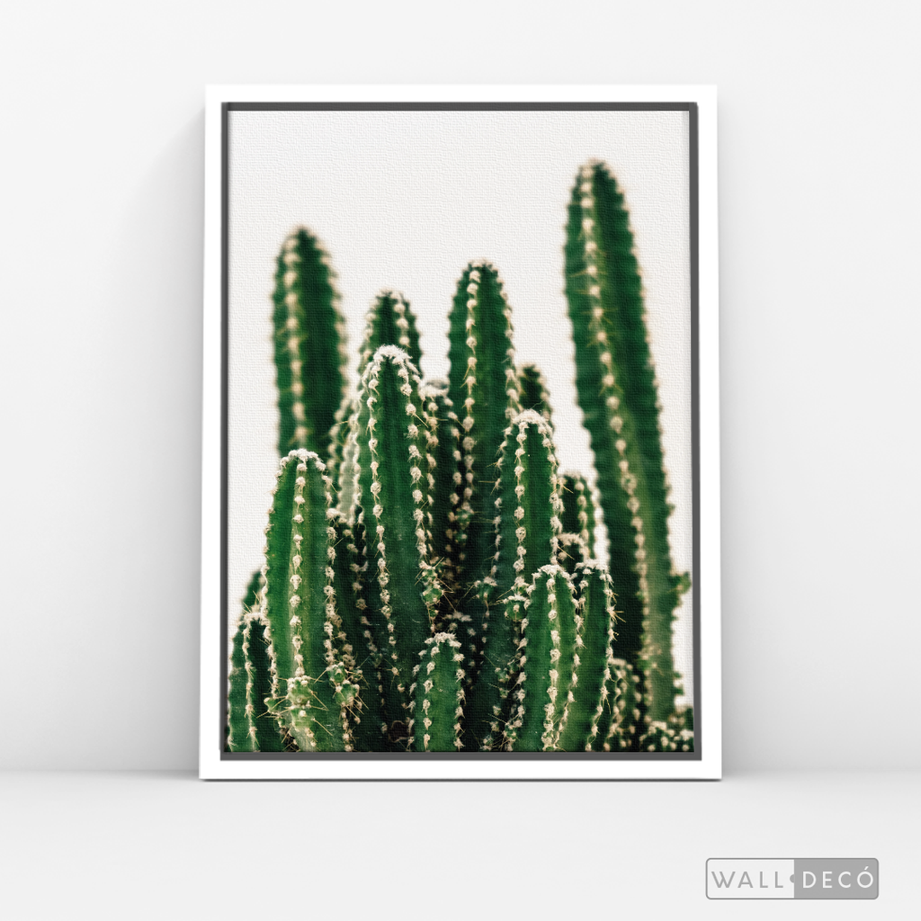 Cuadro Botánico CACTUS - WalldecóStore