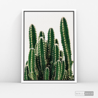 Cuadro Botánico CACTUS - WalldecóStore