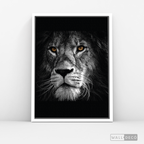 Cuadro Animales León (B) B/N