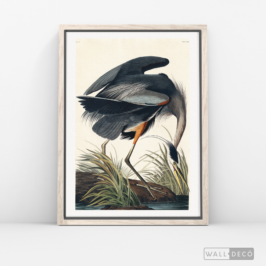 Cuadro Aves Garza