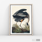 Cuadro Aves Garza