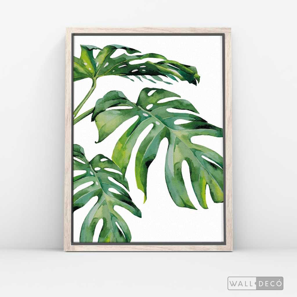 Cuadro Botánico Monstera Deliciosa