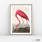 Cuadro Aves Flamenco Mayor