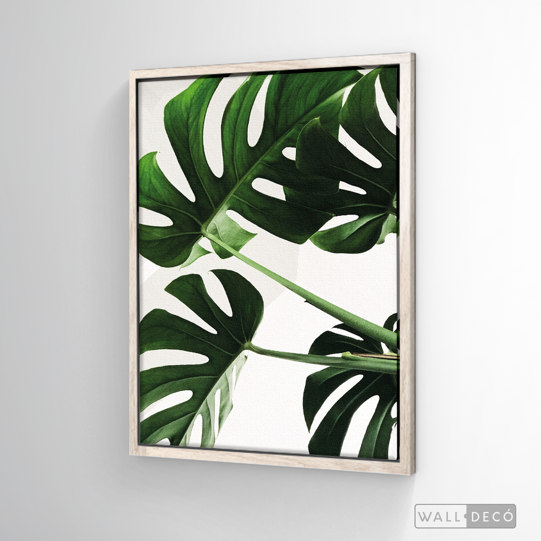 Cuadro Botánico BALAZO REAL - WalldecóStore