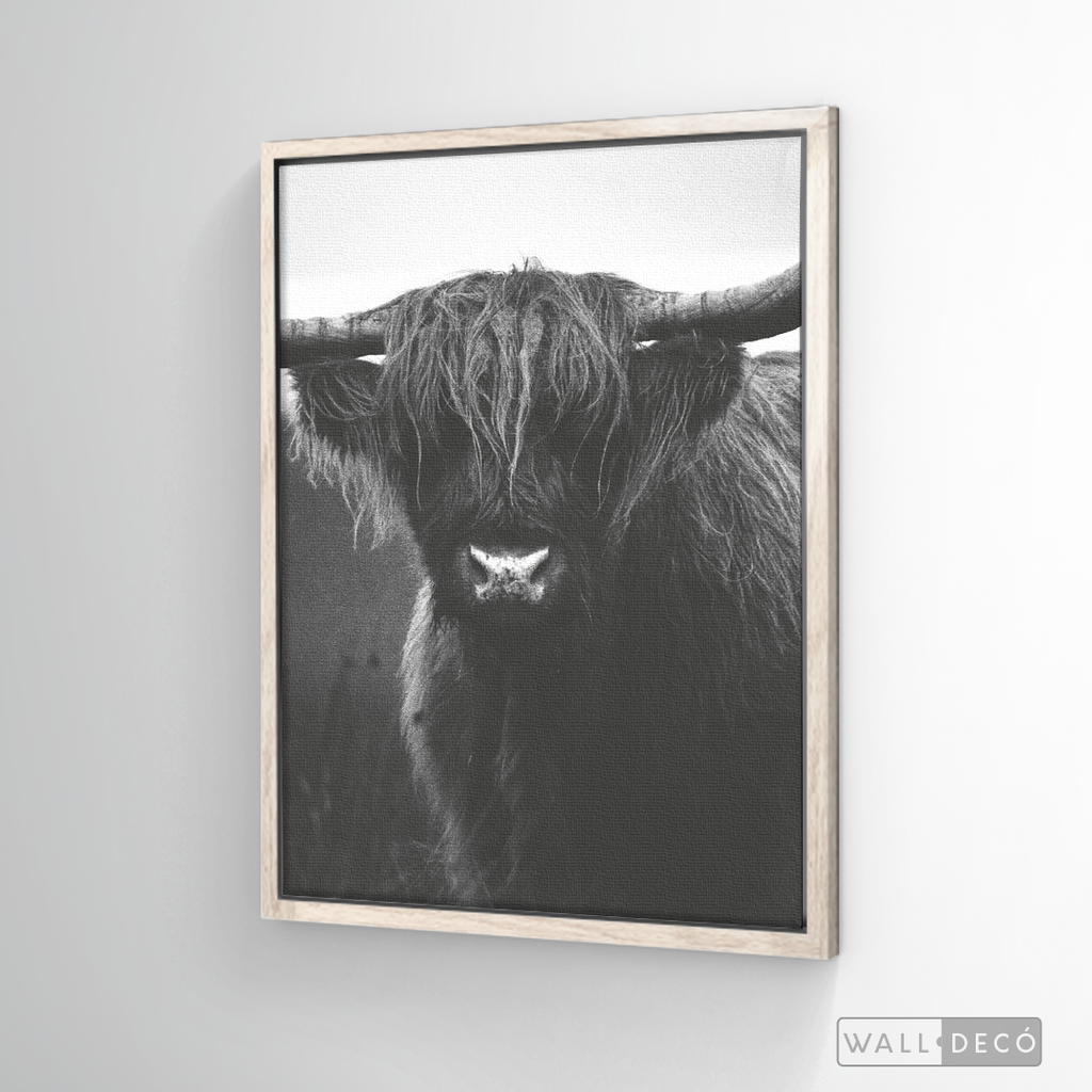 Cuadro Animales Bisonte