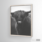 Cuadro Animales Bisonte