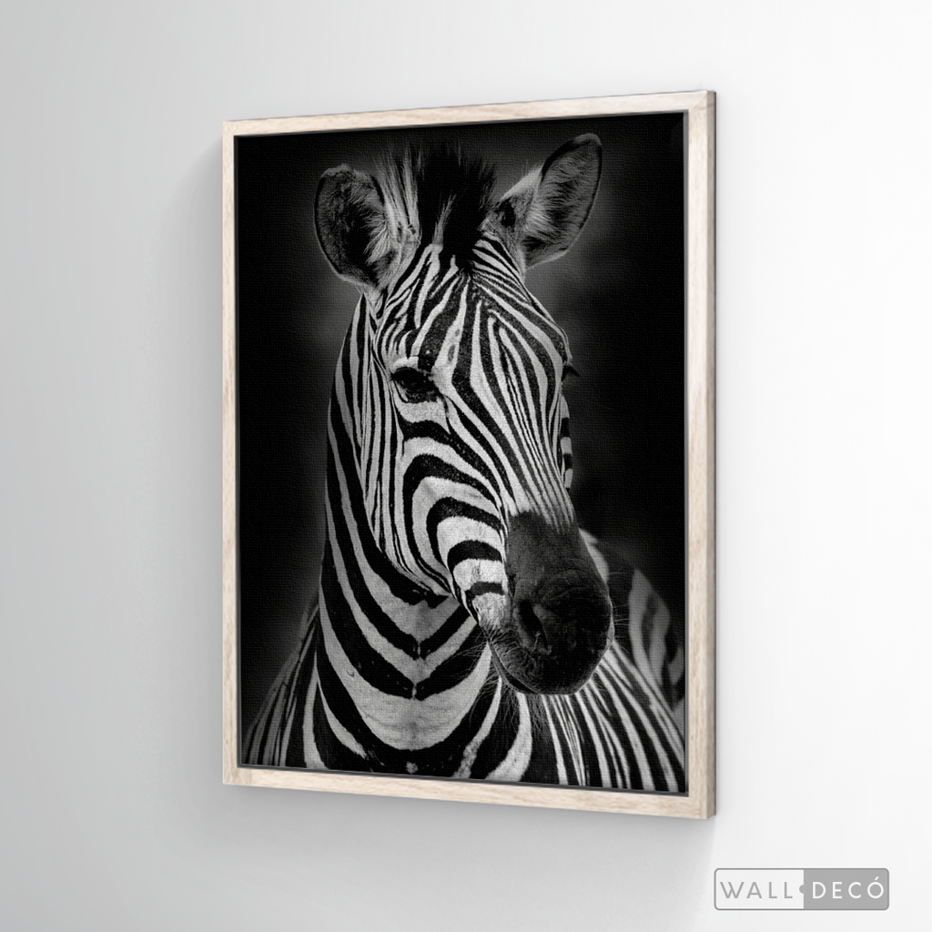 Cuadro Animales Cebra B/N