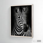 Cuadro Animales Cebra B/N