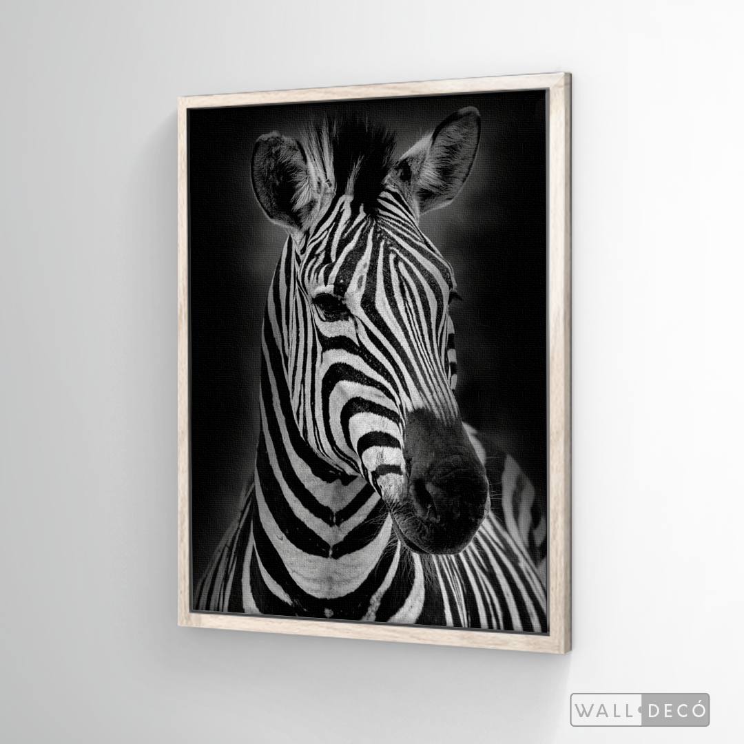Cuadro Animales Cebra B/N