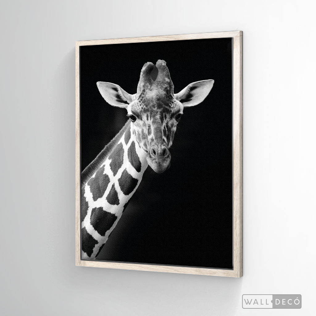 Cuadro Animales Jirafa B/N