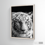 Cuadro Animales Tigre Blanco B/N