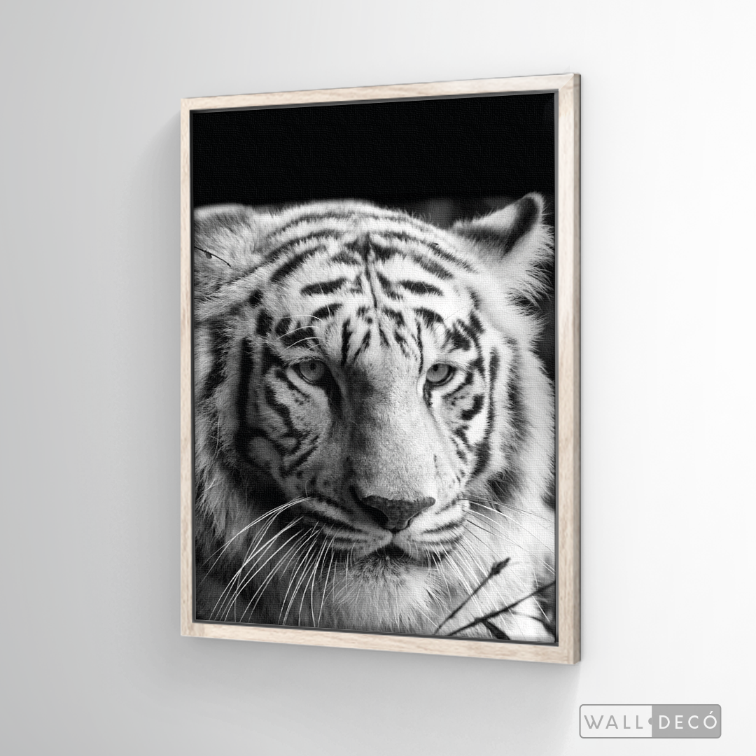 Cuadro Animales Tigre Blanco B/N