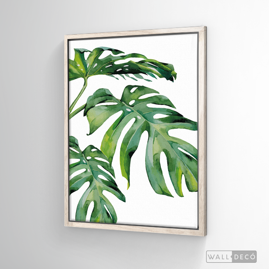 Cuadro Botánico Monstera Deliciosa