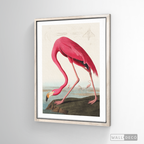 Cuadro Aves Flamenco Mayor