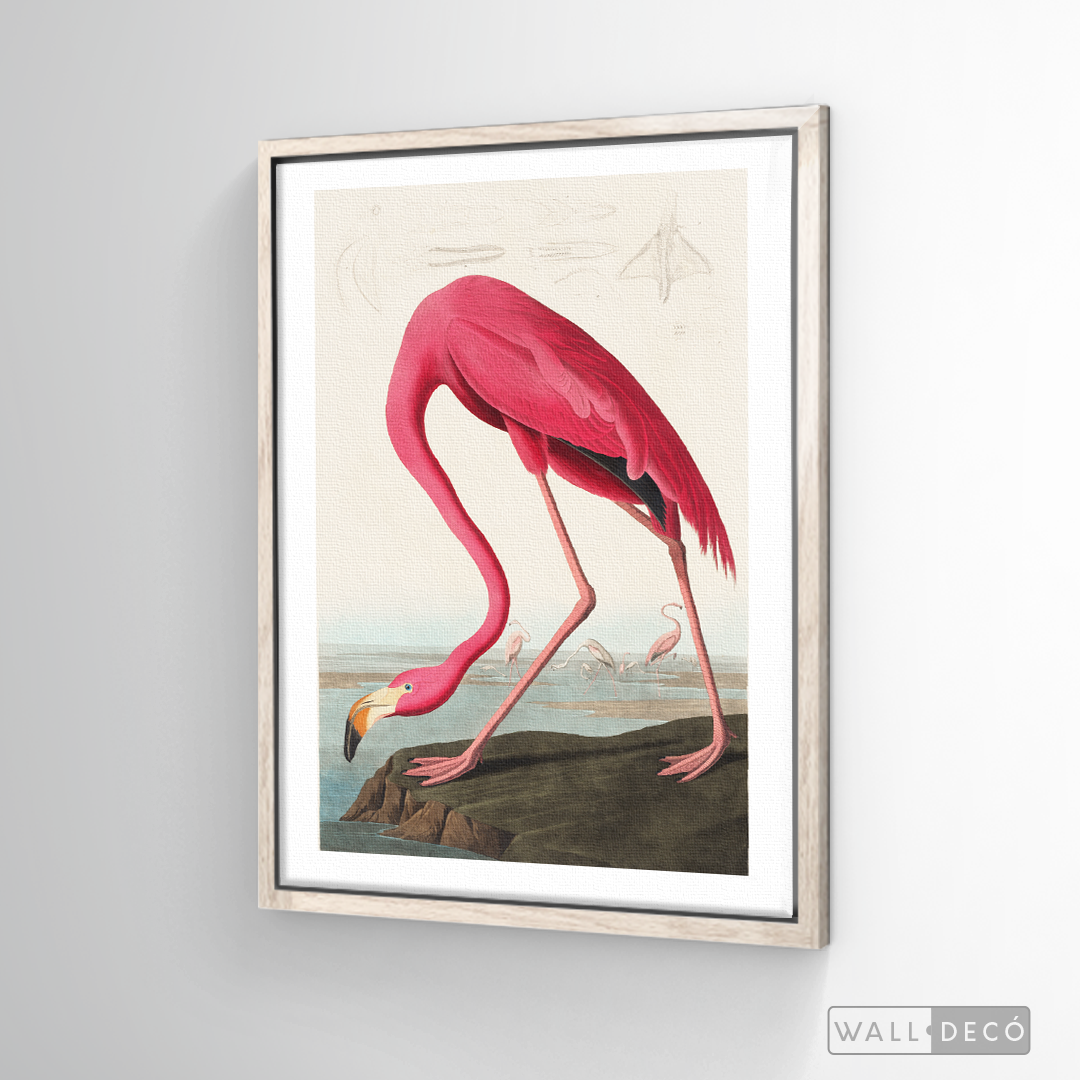 Cuadro Aves Flamenco Mayor