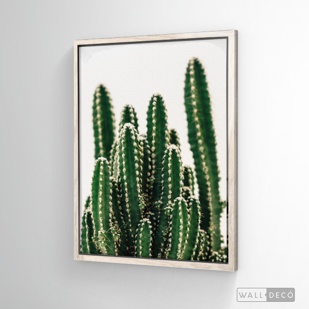 Cuadro Botánico CACTUS - WalldecóStore