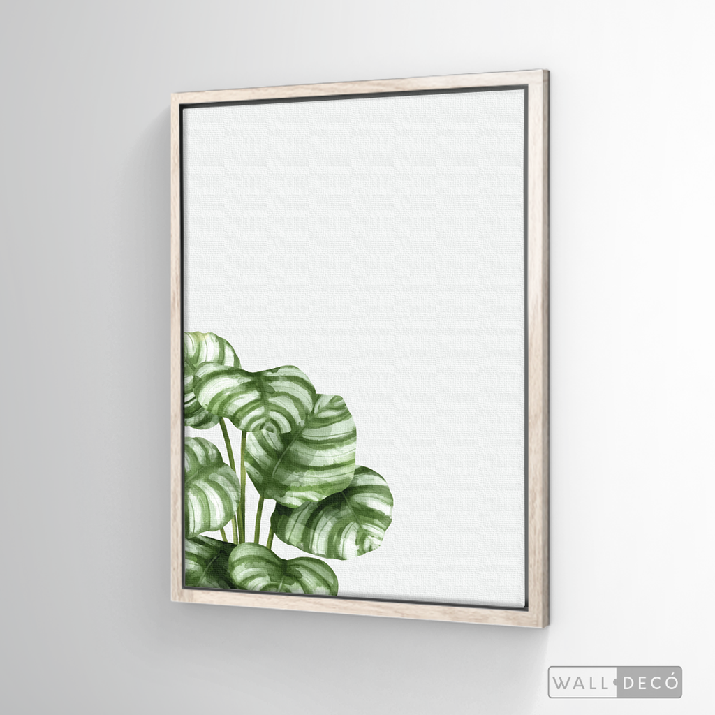 Cuadro Botánico GALATHEA - WalldecóStore