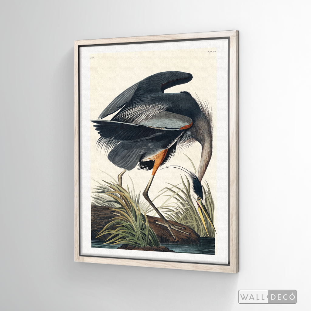 Cuadro Aves Garza