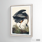 Cuadro Aves Garza