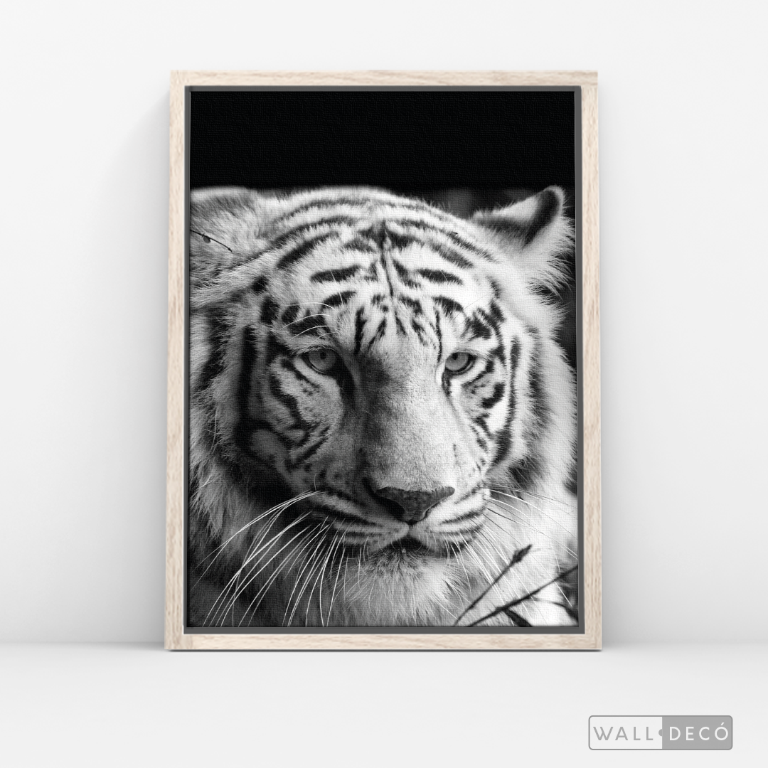 Cuadro Animales Tigre Blanco B/N