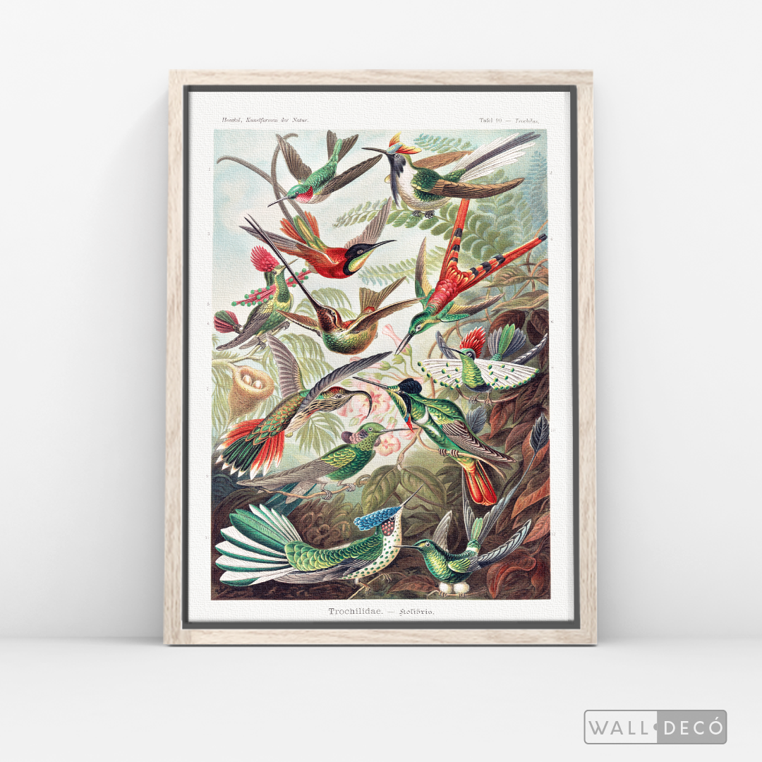 Cuadro Aves Colibríes