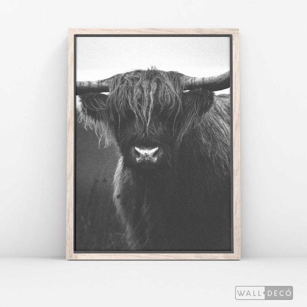 Cuadro Animales Bisonte