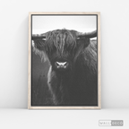 Cuadro Animales Bisonte
