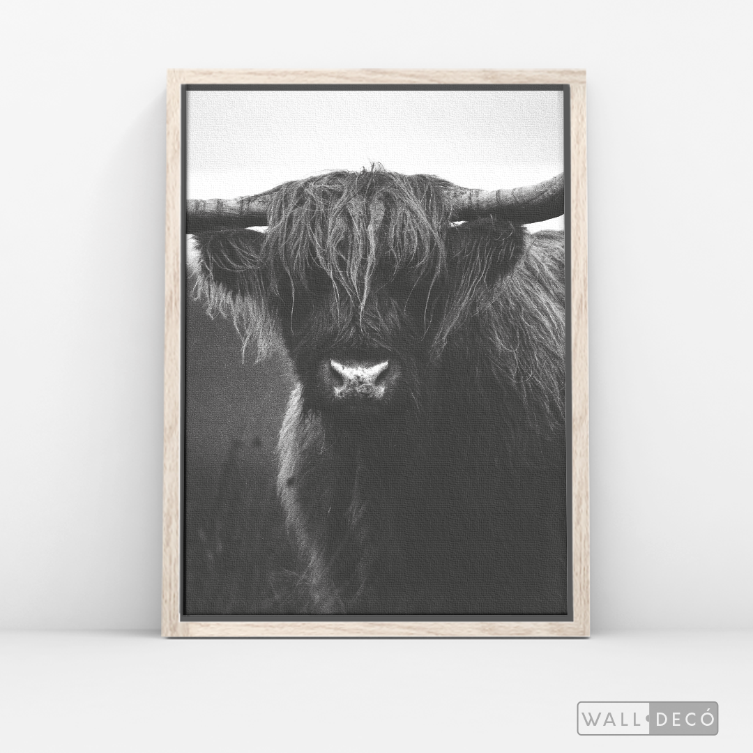 Cuadro Animales Bisonte