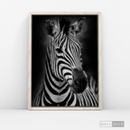 Cuadro Animales Cebra B/N