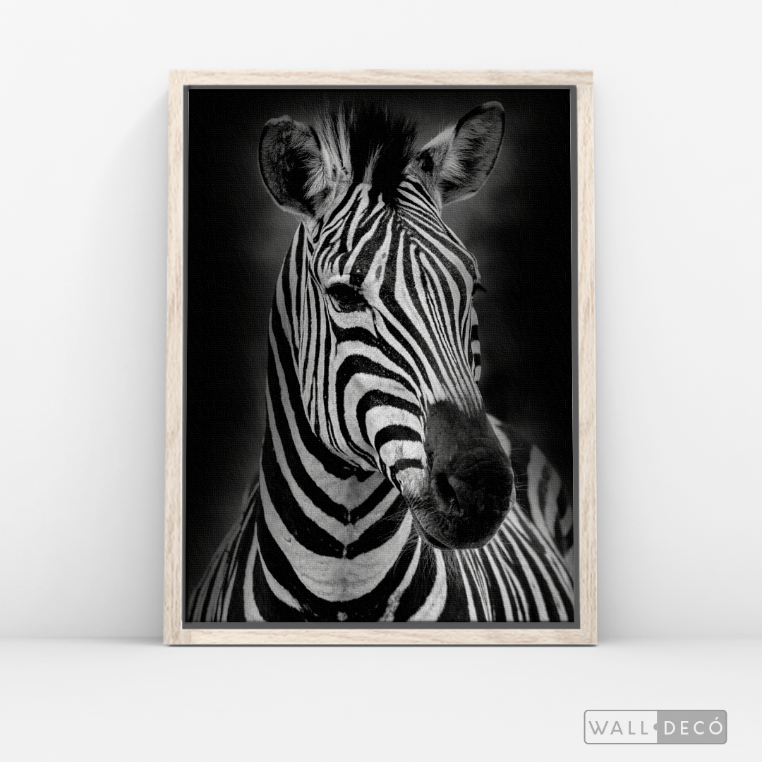 Cuadro Animales Cebra B/N