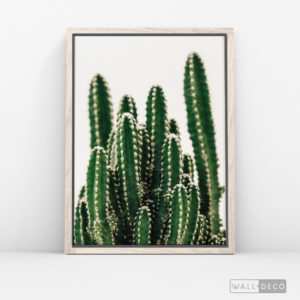 Cuadro Botánico CACTUS - WalldecóStore