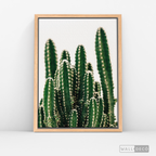 Cuadro Botánico CACTUS