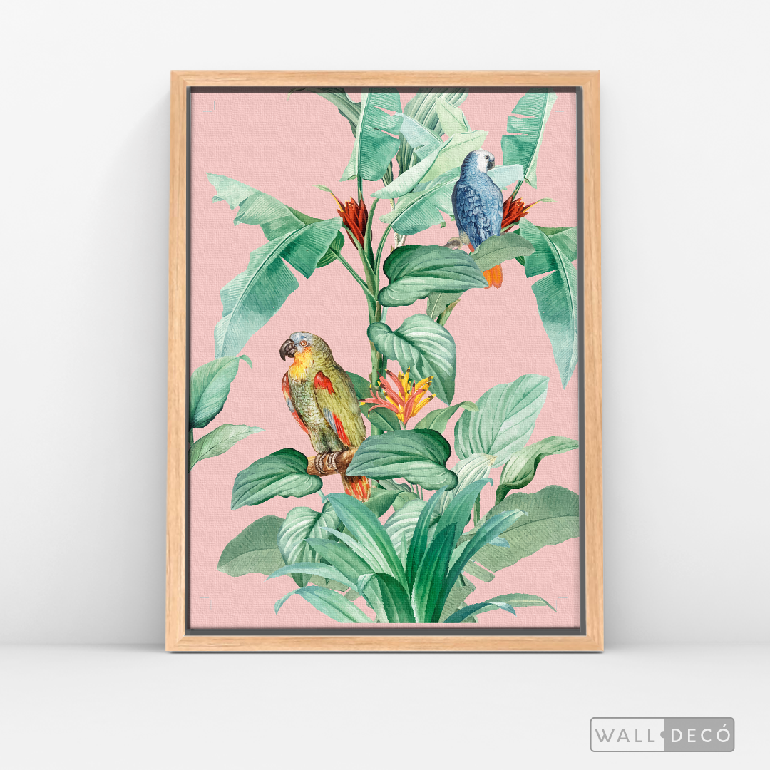 Cuadro Aves Loro Real