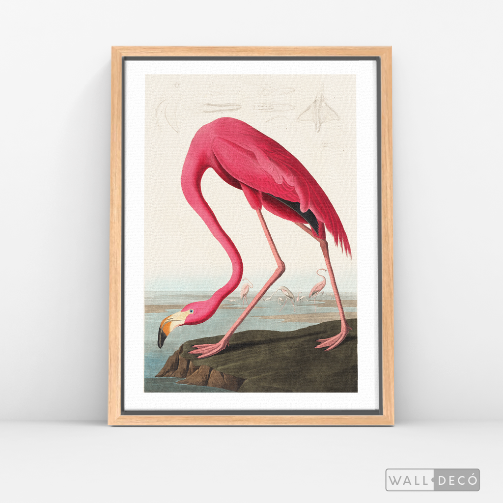 Cuadro Aves Flamenco Mayor