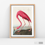 Cuadro Aves Flamenco Mayor