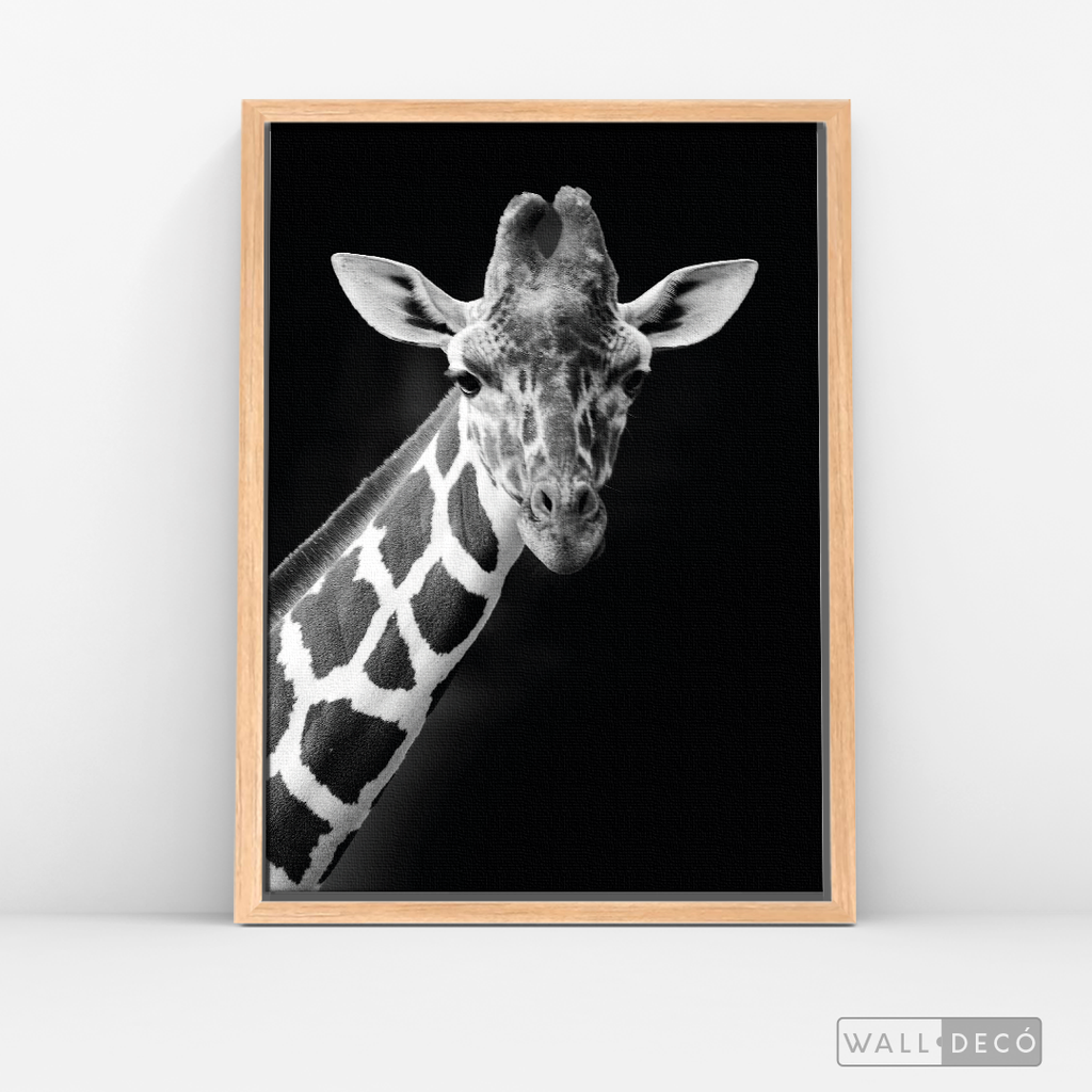 Cuadro Animales Jirafa B/N