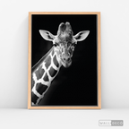 Cuadro Animales Jirafa B/N