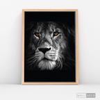 Cuadro Animales León (B) B/N