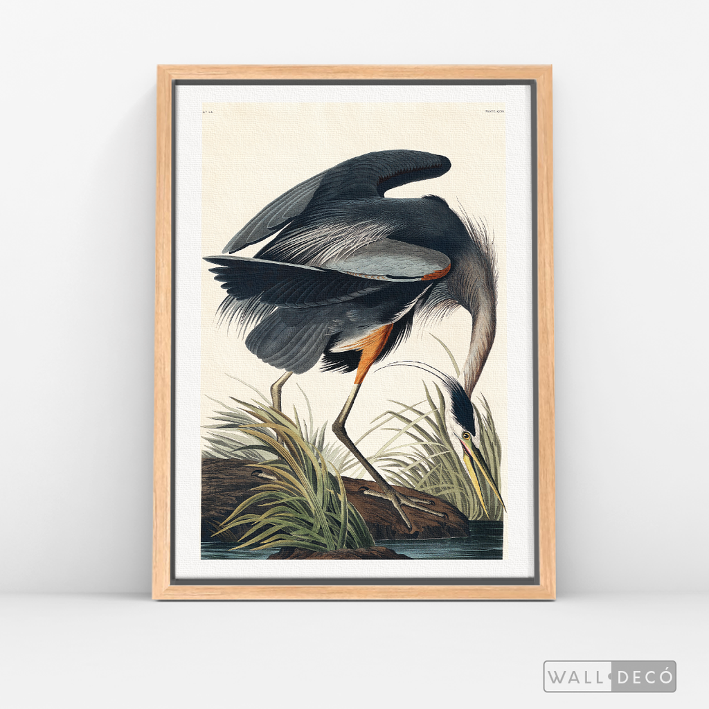 Cuadro Aves Garza