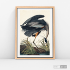 Cuadro Aves Garza