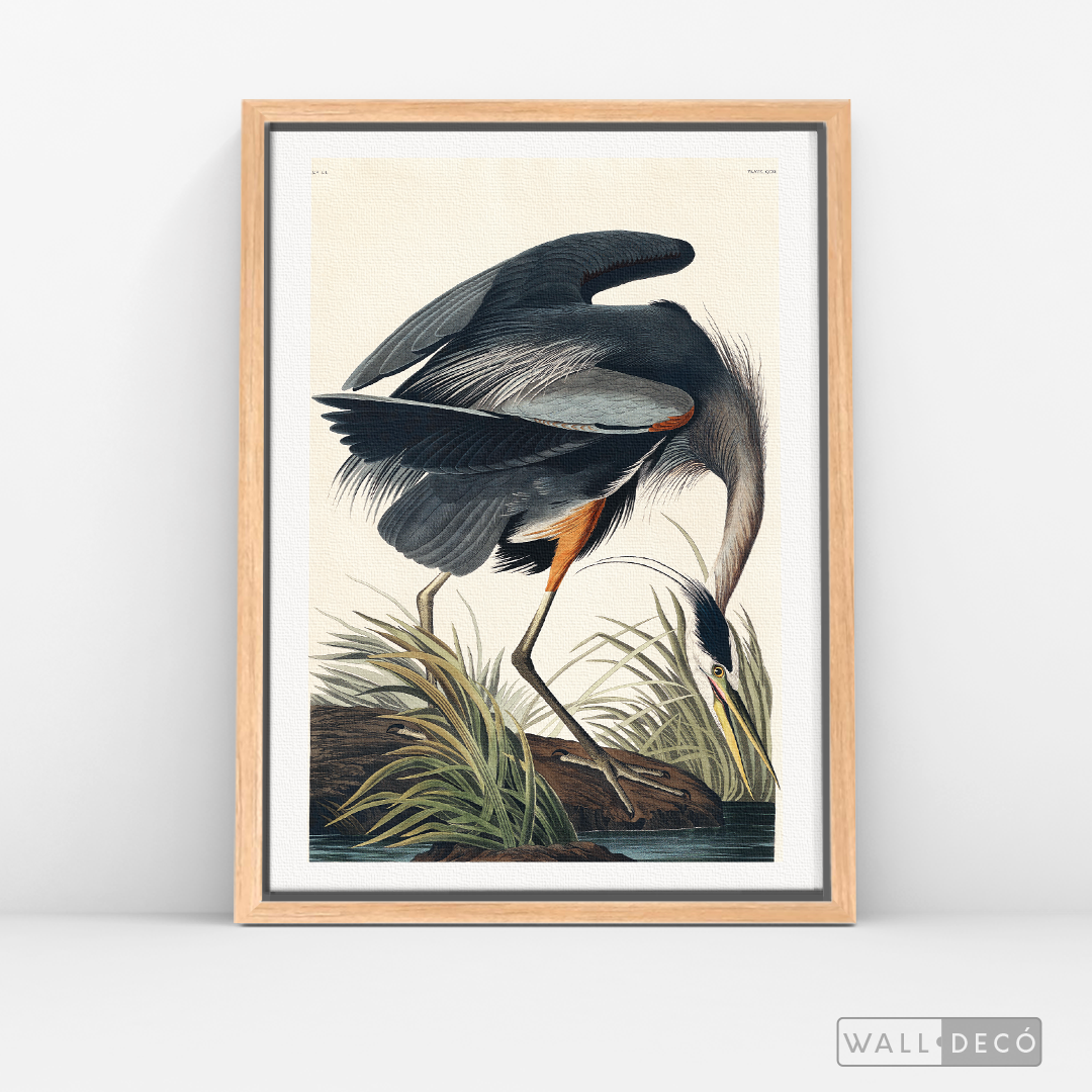 Cuadro Aves Garza